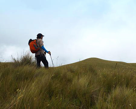 TREKKING POLE | トレッキング・ポール